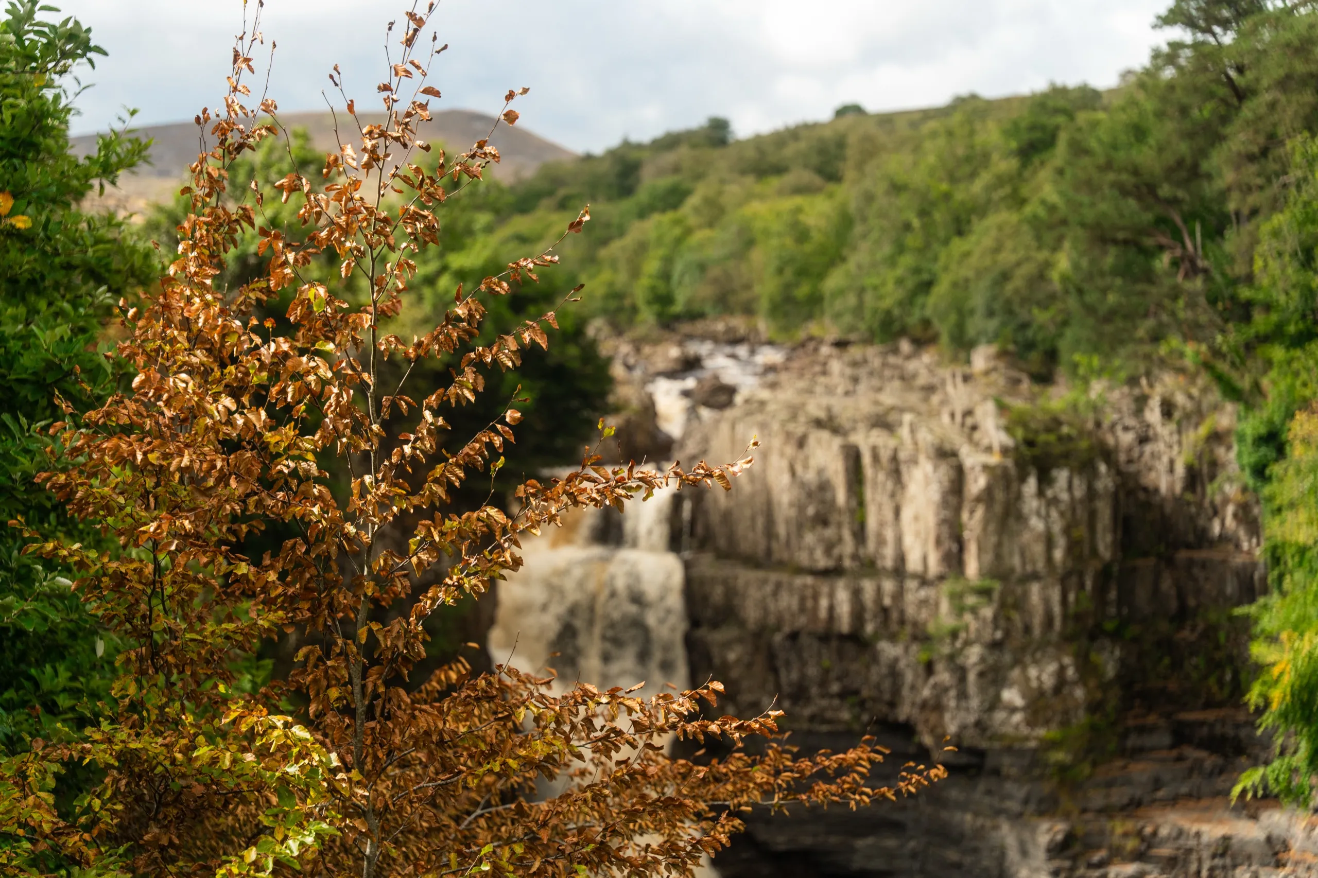 Waterfall framed by autumn foliage and green hillside