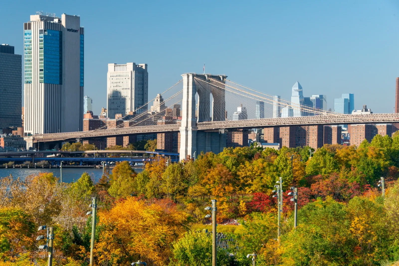 Manhattan skyline with autumn tree branches