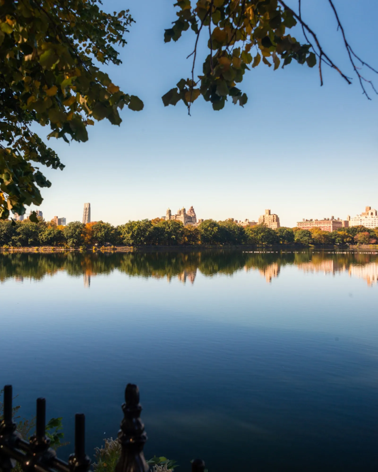 Skyline reflected in calm water with autumn foliage